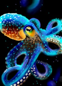 Drawing of Octopus by ⋆su⋆vinci彡