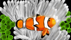 Рисунок на тему «Clownfish» — автор: SAM AKA MARGARET 🙄