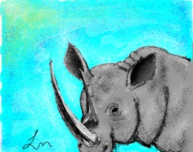 Nonuvyrbiznis  の サイ の絵