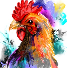 Drawing of Chicken by KayXXXlee