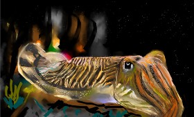 Herbert の イカ の絵