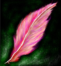 Drawing of Feather by Belem