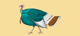 Pinky の 七面鳥 の絵