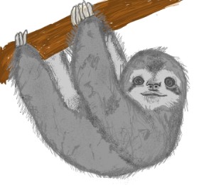 Kat の ナマケモノ の絵
