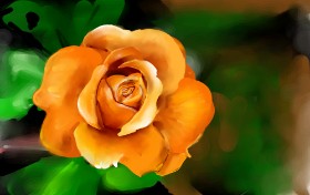 Cvijet - autor: Rose rocket