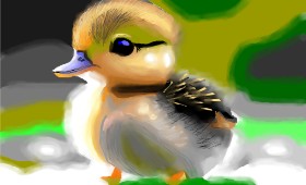 Herbert の アヒル の絵
