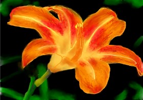 Humo de copal の ユリの花 の絵