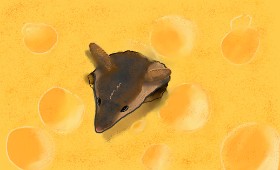 Master Oogway の チーズ の絵