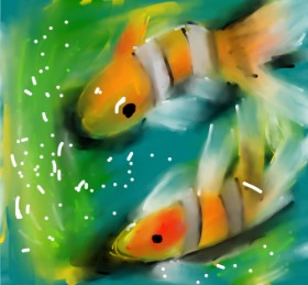 Clownfish - autor: Obi-Wan