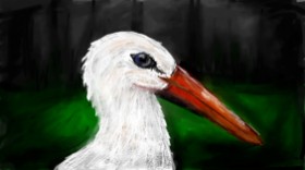 Mia の コウノトリ の絵