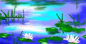 Swimmer の スイレン の絵