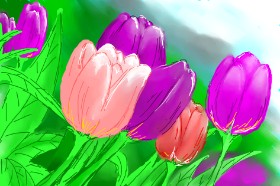 Tulipani - autor: Kalina