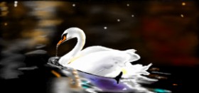 Çhåching の 白鳥 の絵