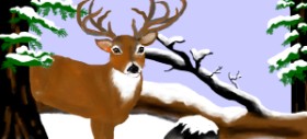 DebbyLee の 鹿 の絵