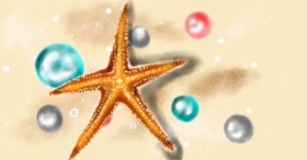 Eclat de Lune の ヒトデ の絵