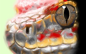 DrawSomething の 蛇 の絵