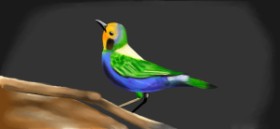 Ani の 鳥 の絵