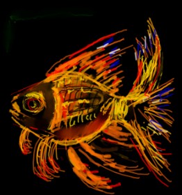 Suzie の 金魚 の絵