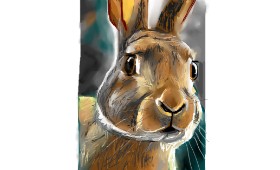 Herbert の ウサギ の絵