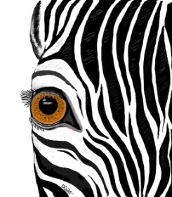 Zebra-Zeichnung von GreyhoundMama
