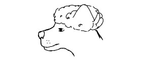 Abbey の プードル の絵