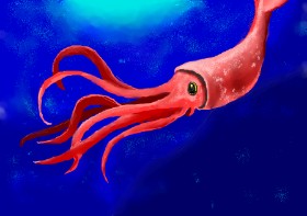 Ēgeria の イカ の絵