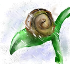 𝒞𝓊𝓅𝒞𝒶𝓀𝑒 の カタツムリ の絵