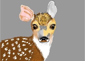 SAM AKA MARGARET 🙄 の 鹿 の絵