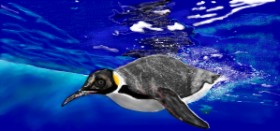 Çhåching の ペンギン の絵