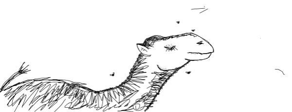 Kaden L の ラクダ の絵