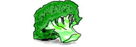 Matteo Fontana の ブロッコリー の絵