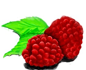 JCat の ラズベリー の絵