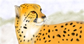 Maggy の チーター の絵