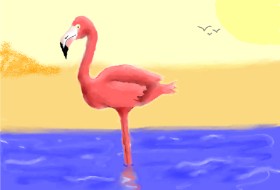 jeff の フラミンゴ の絵