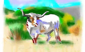 Drawing of Bull by Herbert