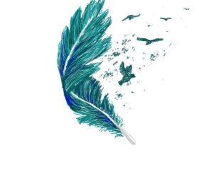 Pero - autor: Igris