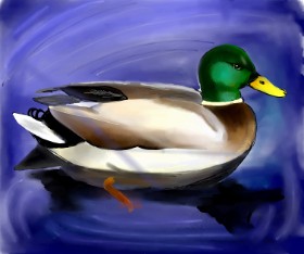 Lou の アヒル の絵