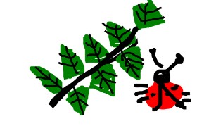 Derp の 葉 の絵