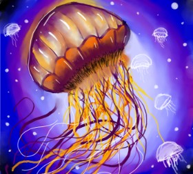 Drawing of Jellyfish by Zeemal