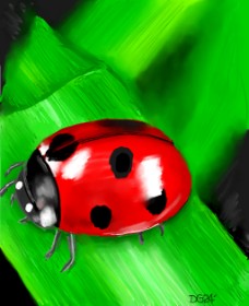 GreyhoundMama の てんとう虫 の絵
