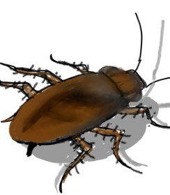 §TMJ の ゴキブリ の絵