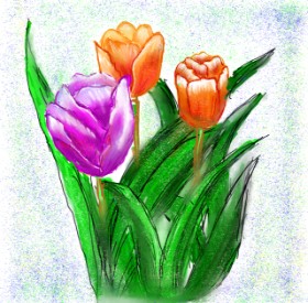 Fazila の チューリップ の絵