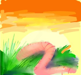 Fátima の 虫 の絵