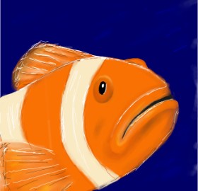 Drawing of Clownfish by ELLE