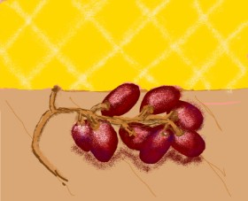 Drawing of Grapes by Cherri