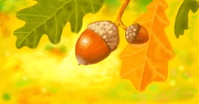 Рисунок на тему «Желудь» — автор: shiNIN