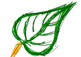 Peppenappo の 葉 の絵