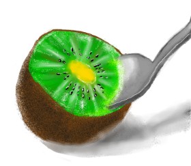 Drawing of Kiwi fruit by Dexl