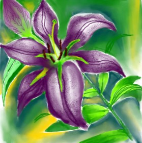 Riya の ユリの花 の絵