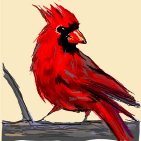 camay の 鳥 の絵